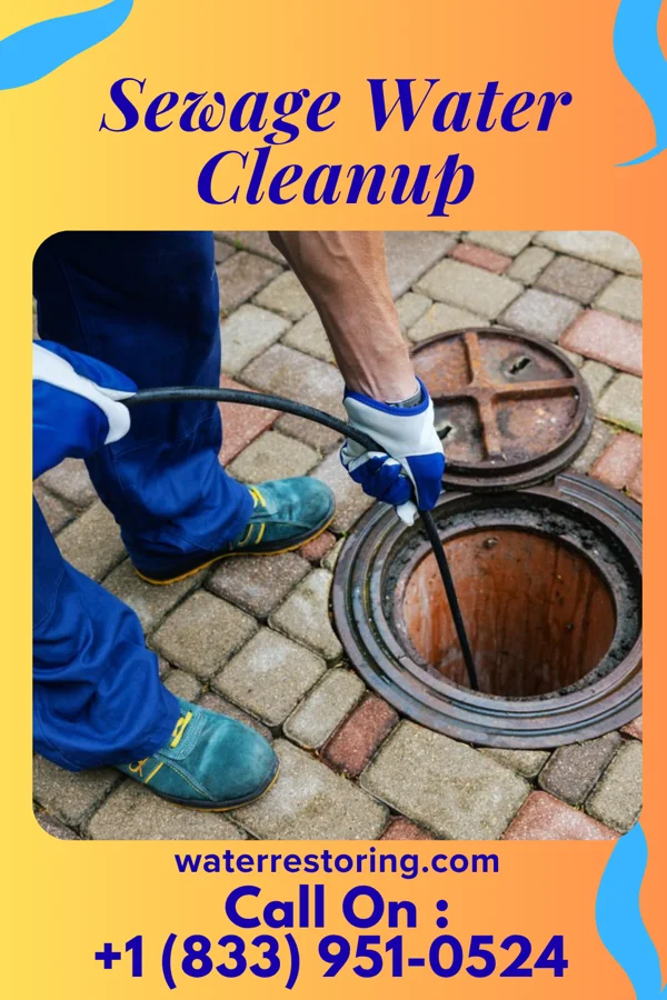 Sewage Water Cleanup in Castle Hill, CA