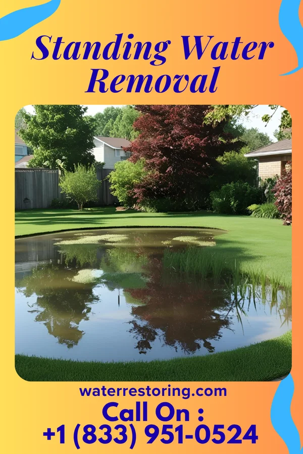 Standing Water Removal in Castle Hill, CA